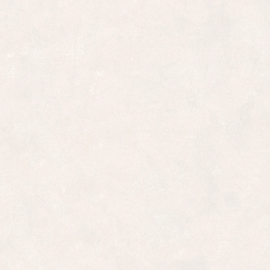 Dieter Langer Tapete Vlies Putz-Optik Creme-grau 58839