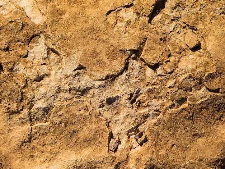 Fototapete Rasch Daniel Geier Fels Stein Braun 101072