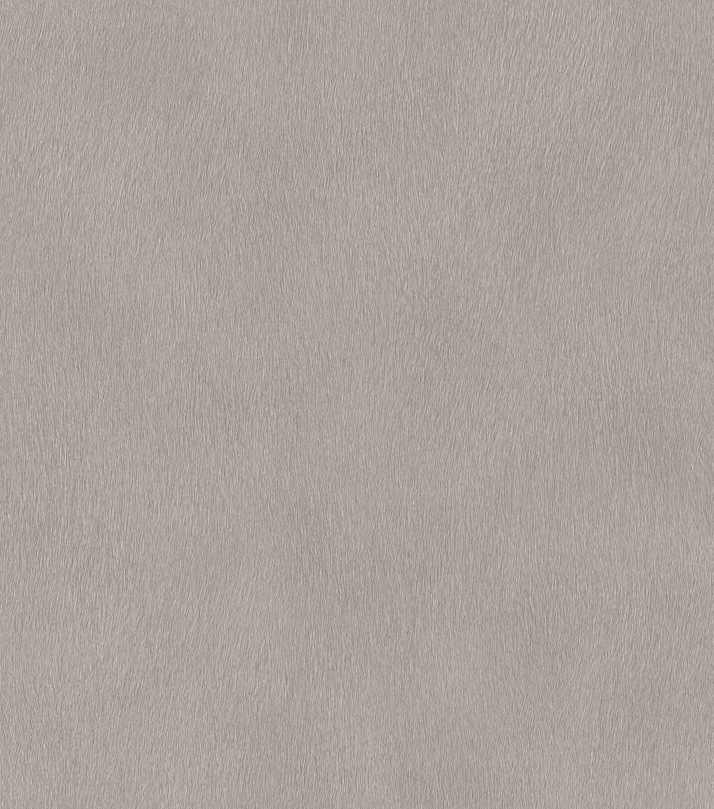 Vliestapete Rasch 751062 Struktur Einfarbig Hellgrau – Bild 2