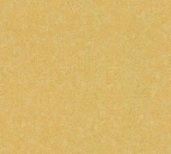 Versace Home Tapete Strukturiert Uni Gold Metallic 93582-3