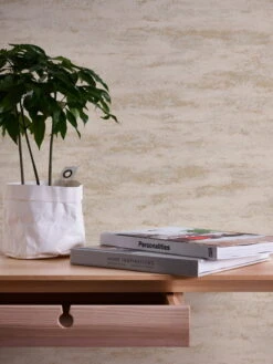 A.S. Creation Vliestapete Beige Creme Gold Metallic Putz Optik 39041-4