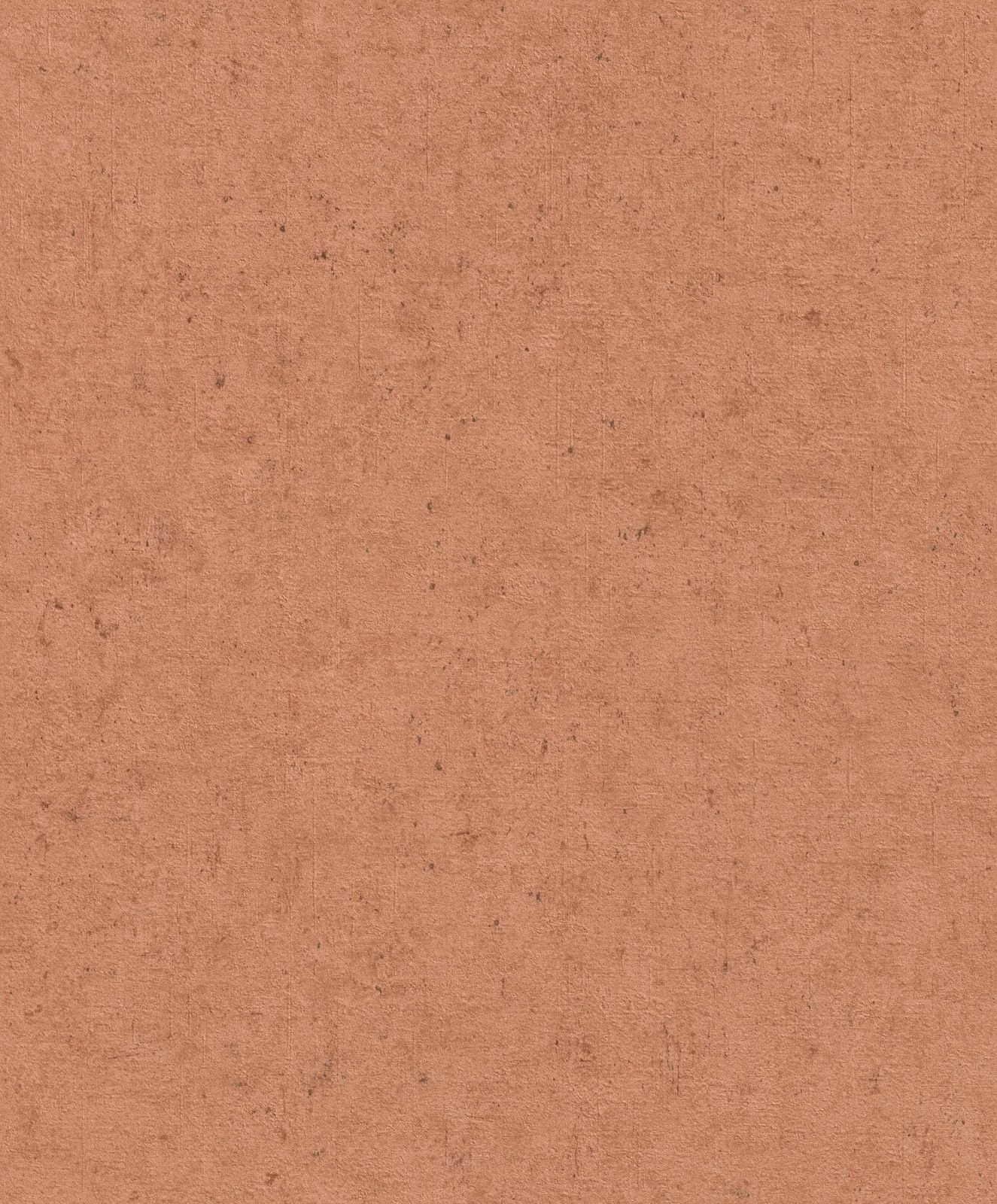 Vliestapete Putz Optik Beton Terra 520880 Rasch